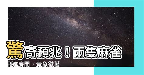 麻雀飛進家裡|一隻麻雀飛進家裡預示,麻雀飛進家裡代表什麼意思？